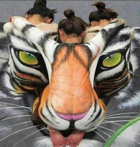 Có phải con hổ không?
